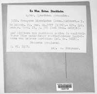Image Associated With the Occurence